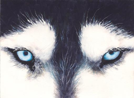 Husky