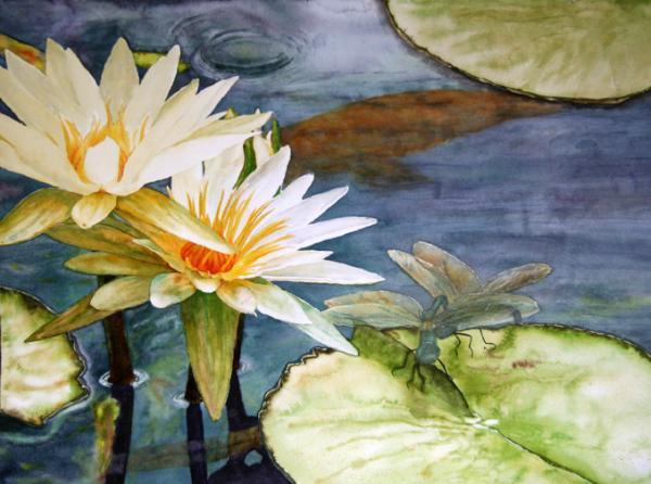 Water Lilies and Dragonflies