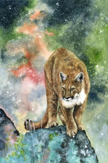 Cougar In Winter